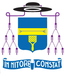 wapenschild - In nitore constat